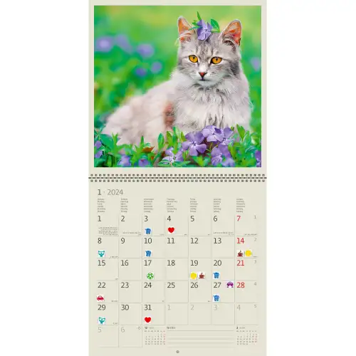 Календар HELMA 2024 30 x 30 см Cats, фото 2, 317.83 грн.