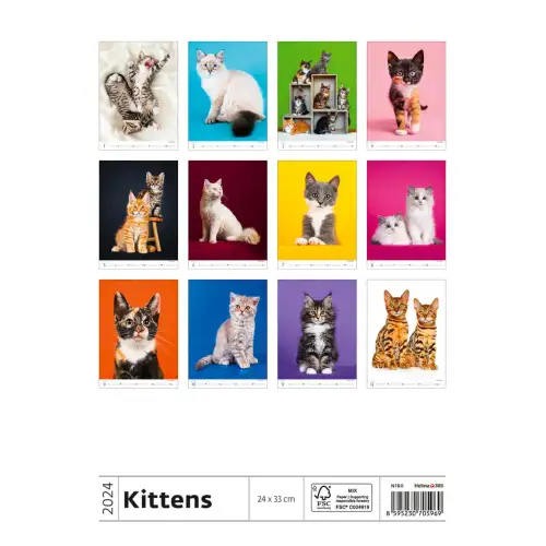 Календар HELMA 2024 24 x 33 см Kittens, фото 2, 221.4 грн.
