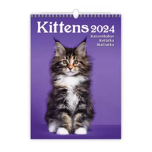 Календар HELMA 2024 24 x 33 см Kittens, фото 2, 221.4 грн.