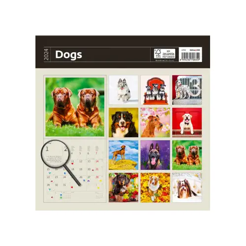 Календар HELMA 2024 30 x 30 см Dogs, фото 2, 317.83 грн.