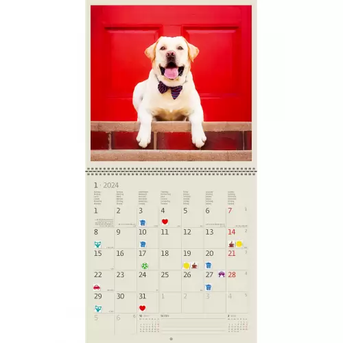 Календар HELMA 2024 30 x 30 см Dogs, фото 2, 317.83 грн.