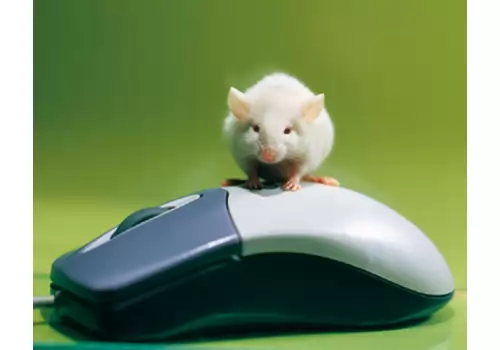 Килимок для миші