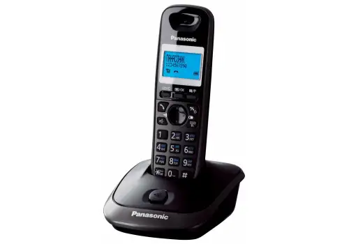 Телефон - радіо Panasonic KX-TG2511UA